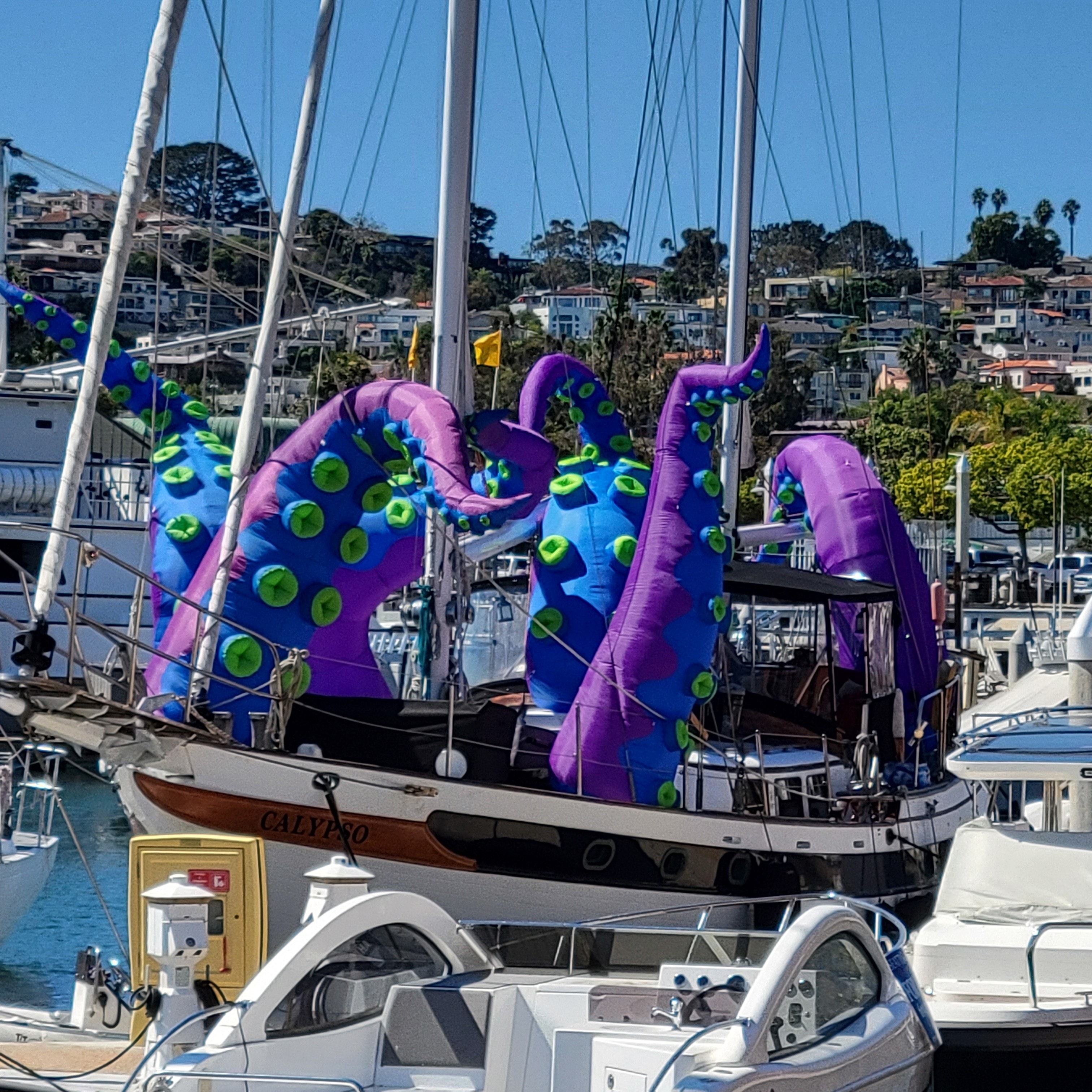 The Kraken in Daylight